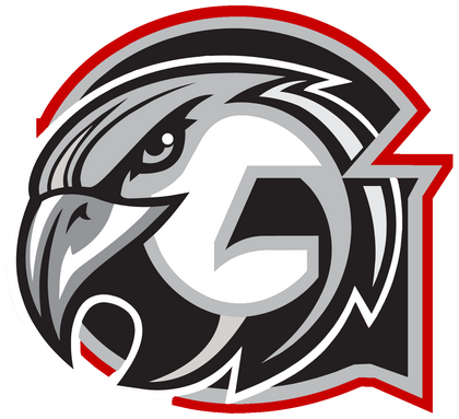 Graham Falcons