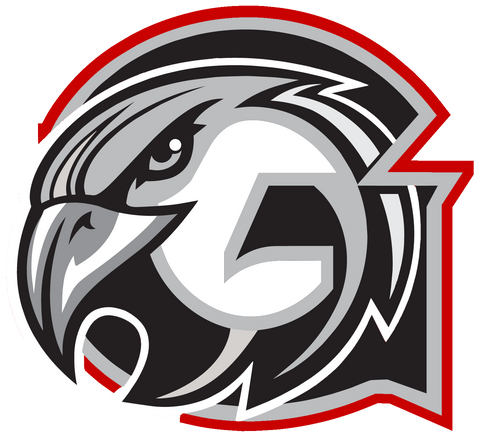 Graham Falcons