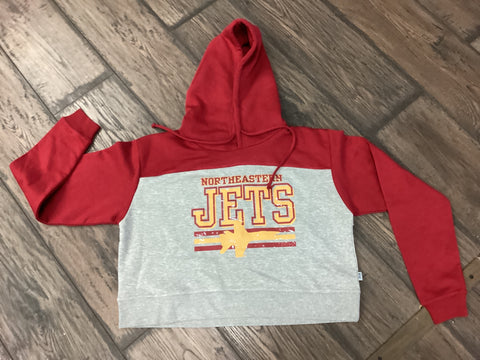 Northeastern Jets 3 Line Crop Hoodie