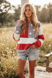 MINERAL WASHED AMERICANA FLAG SWEATSHIRT
