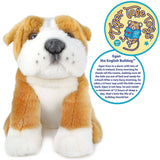 Egan the English Bulldog | 9 Inch Stuffed Animal Plush | By