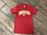 northeastern distressed block tee