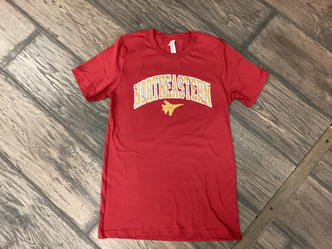 northeastern distressed block tee