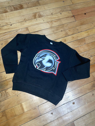 Youth Falcons Head Crewneck