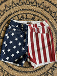 Judy Blue HW Americana Flag Fray Hem Shorts