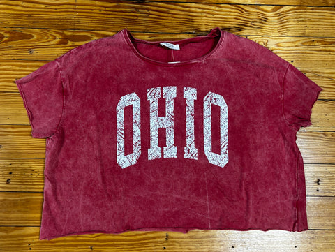 Acid Wash Block OHIO Crop Top