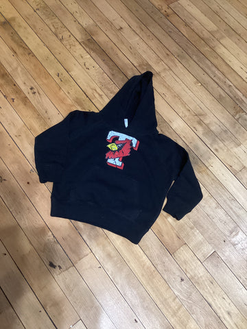 Youth Distressed Triad Local Schools Hoodie