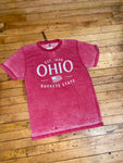 Vintage OHIO buckeye state flag Tee