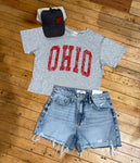 Heather Grey Block ohio Crop tee