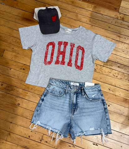 Heather Grey Block ohio Crop tee