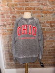 Vintage Ohio The Buckeye State Hoodie