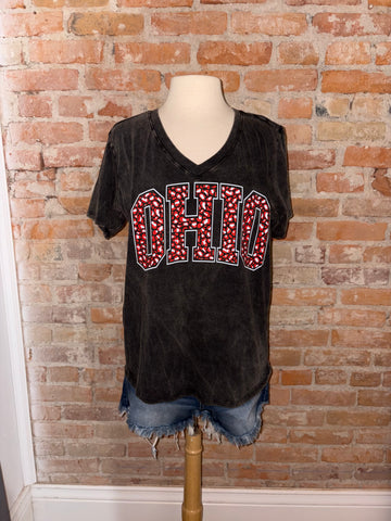 Leopard V-neck acid was Tee