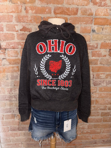 OHIO State Since 1803 Crop hoodie