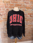 Ohio The Buckeye State Washed Pullover