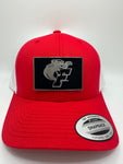 Panthers/ HAT & 30 oz cup
