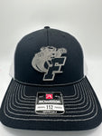 Panthers/ HAT & 30 oz cup