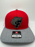 Panthers/ HAT & 30 oz cup