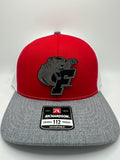 Panthers/ HAT & 30 oz cup
