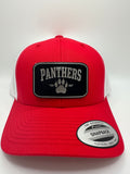Panthers/ HAT & 30 oz cup