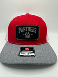 Panthers/ HAT & 30 oz cup