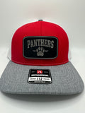 Panthers/ HAT & 30 oz cup