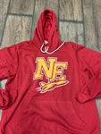 Northeastern distressed hoodie