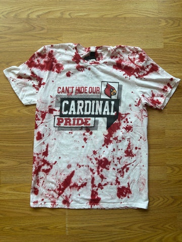 Cant Hide your PRIDE Cardinal Tee
